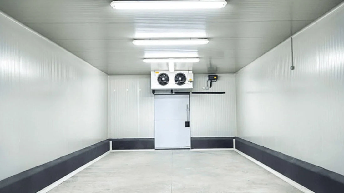 Cool Solutions: How Snow Village Freezer Can Help with Your Custom Cold Room Storage